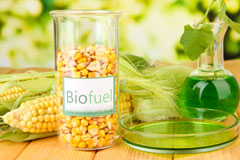 Headcorn biofuel availability